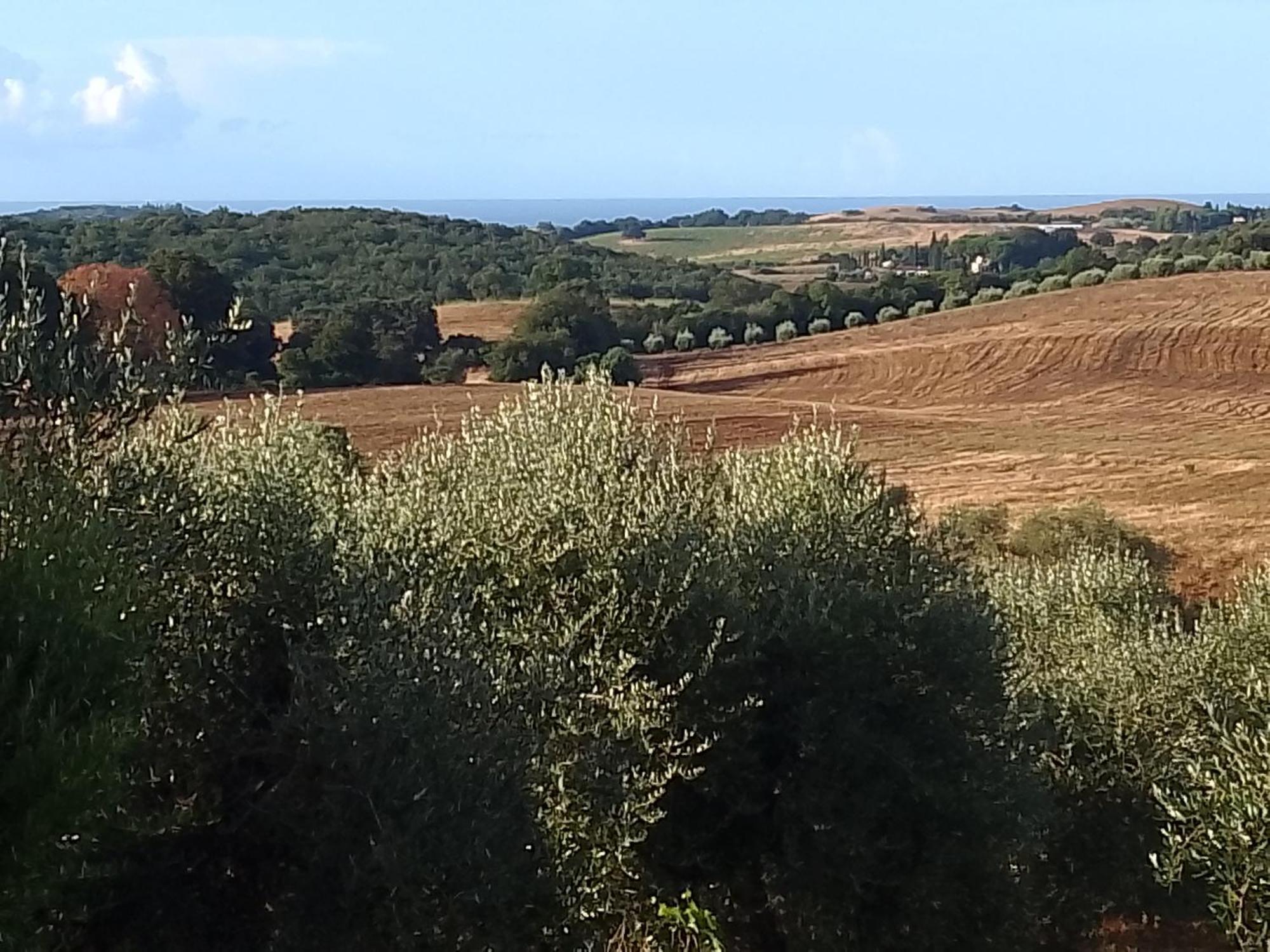 Agriturismo Le Colline Di Capalbio Extérieur photo