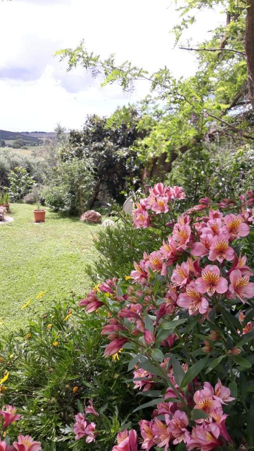Agriturismo Le Colline Di Capalbio Extérieur photo